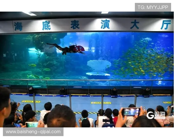 菲鱼直播：畅游水下的奇幻世界之旅